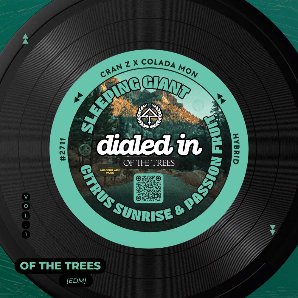 Camp Alderwild playlist, Of The Trees